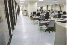 NET FLOOR 網絡地板-亞洲