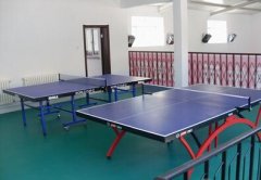 PVC室內(nèi)乒乓球場(chǎng)地板